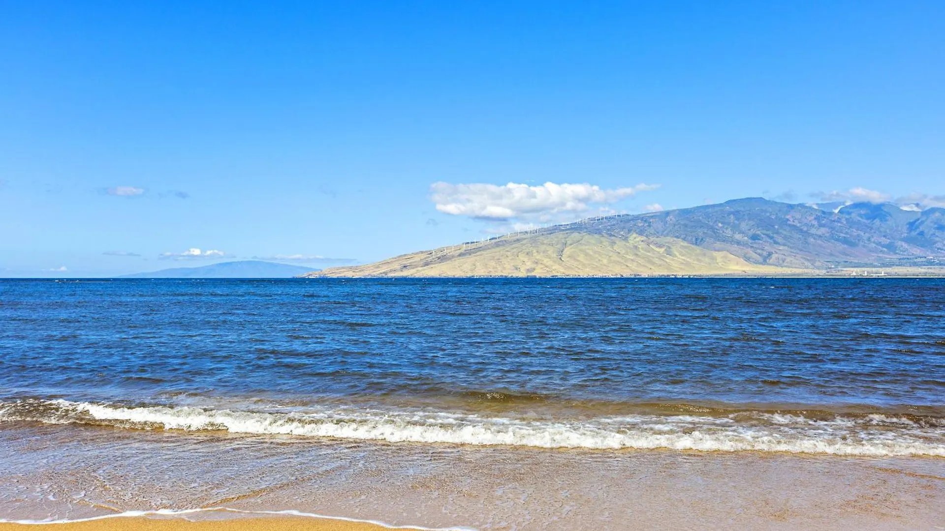Koa Resort 1B Kihei 0*,  Ηνωμένες Πολιτείες της Αμερικής