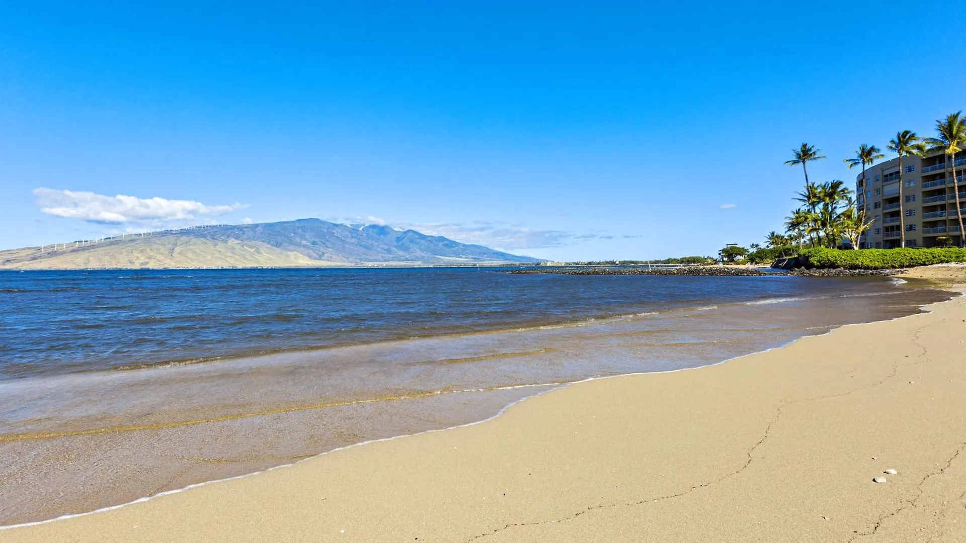 Koa Resort 1B Kihei Σπίτι διακοπών