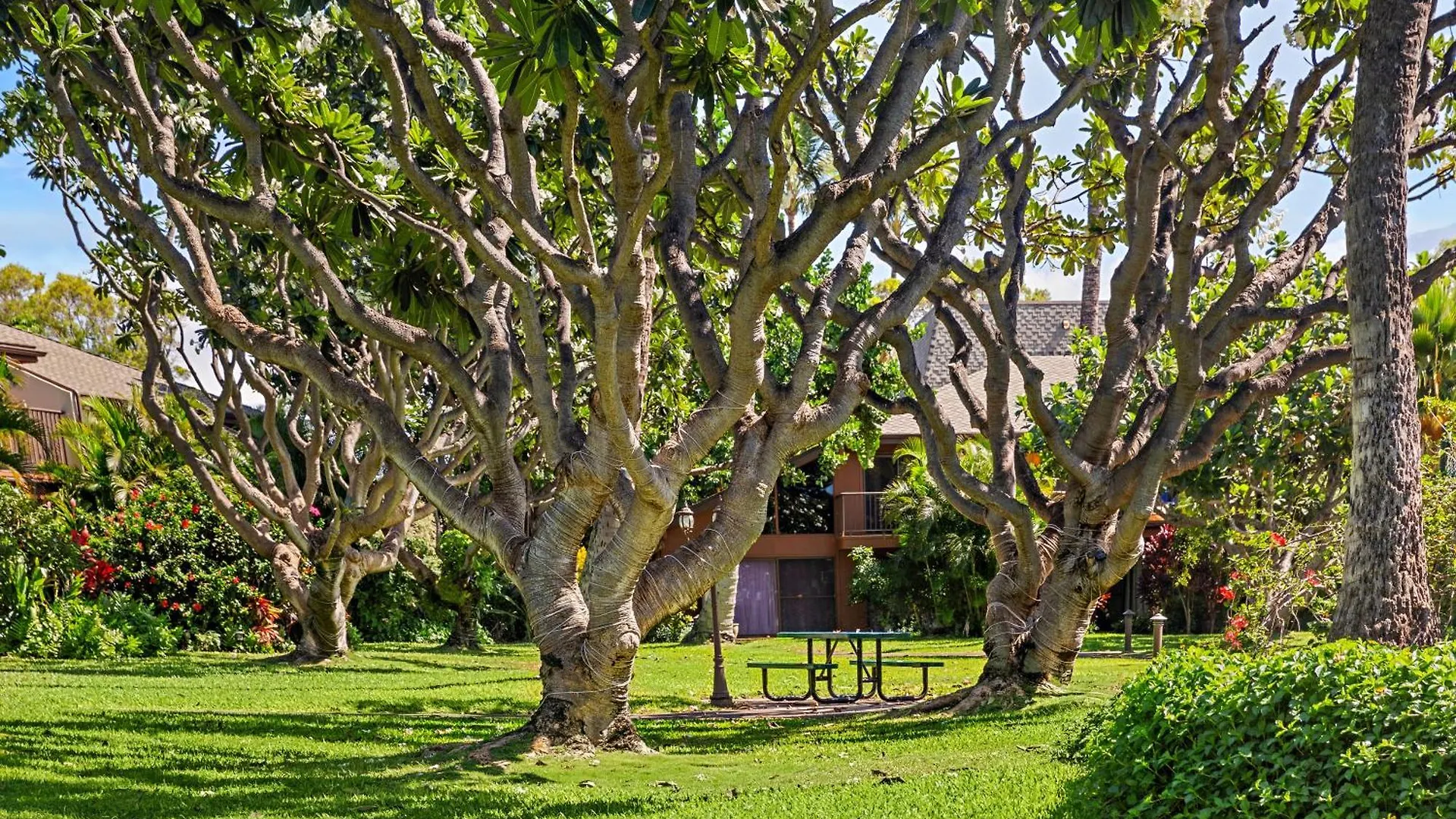 Σπίτι διακοπών Koa Resort 1B Kihei Ηνωμένες Πολιτείες της Αμερικής